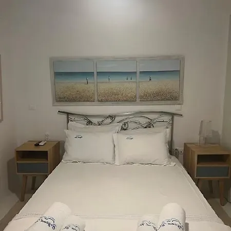 Maison Des Palmiers * مونتي كارلو